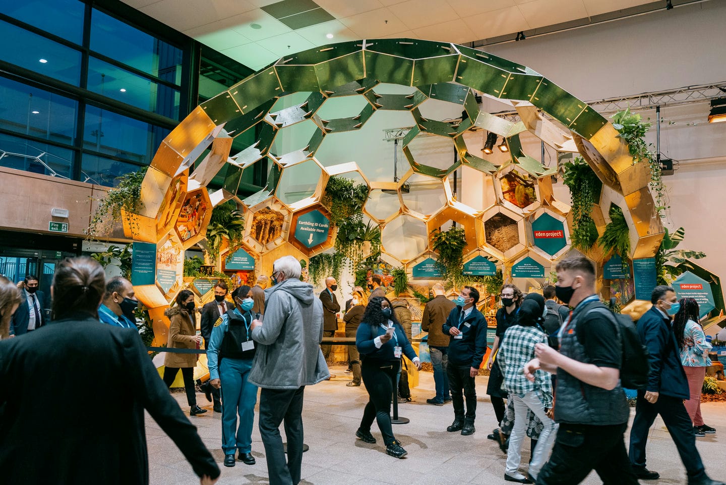 Dome made out of wood and plants