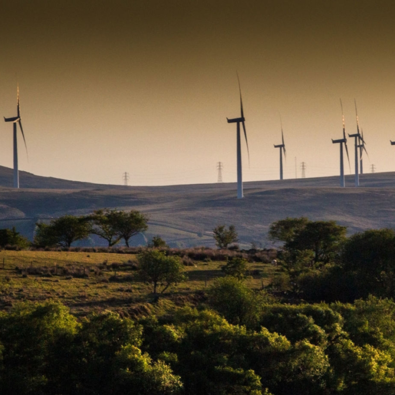 Wind Farm in fields